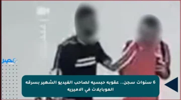 6 سنوات سجن.. عقوبة حبسية لصاحب الفيديو الشهير بسرقة الموبايلات في الأميرية